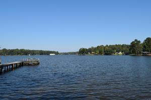 337 Shelton