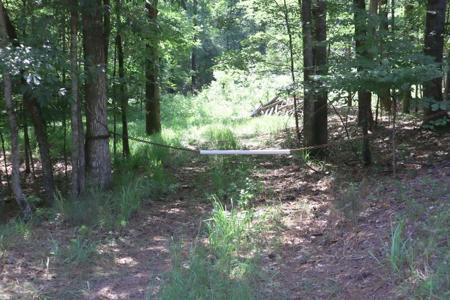 LT.628 ISLAND CREEK DR.