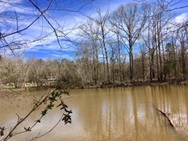 Lot 14 Shoals Pt