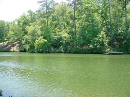 Lot 221 Hickory Pass