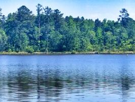LT 642 Parham Rd