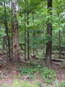 Lot 79 Island Creek Dr.