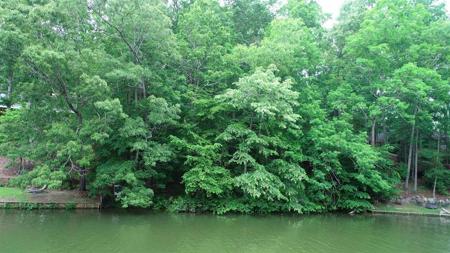 119 Bluegill Run