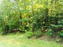 Lot 426 Little River Trail