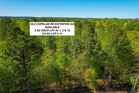 Lot 1 Old Copelan Rd