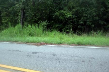 LT.137 LAKE SINCLAIR DR.