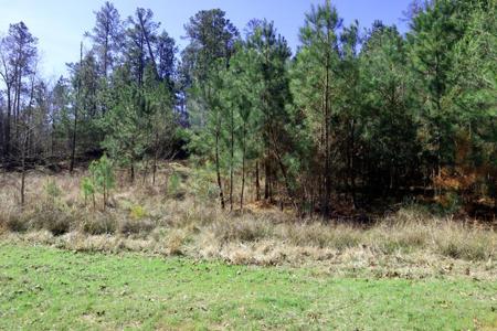 Lt. 22 PEACH BLOSSOM RD.