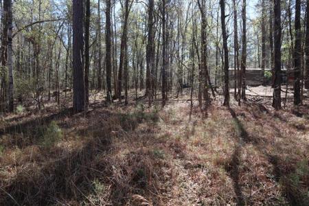 Lt. 625 ISLAND CREEK DR.