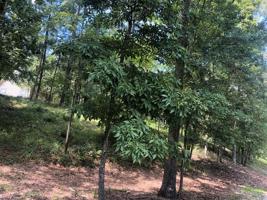 Lot 8 Sheffield Dr