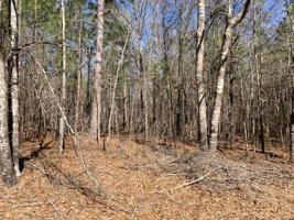 Lot 36 Elmwood Drive