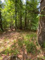 Lot 31 Willow Cove