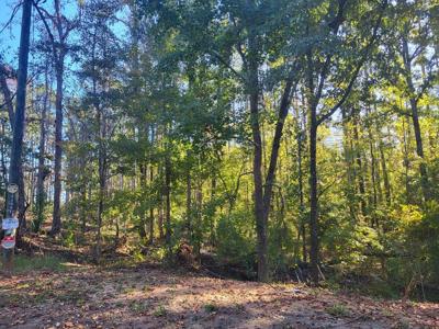 Lot 393 Water Oak Ct