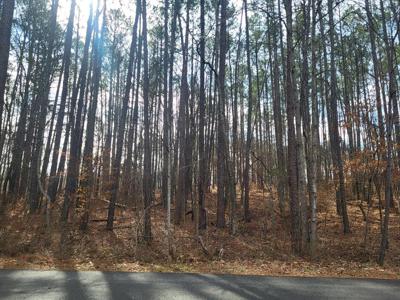 Lot 219 Scenic Way