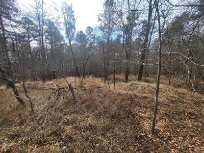 Lot 587 Begonia Dr