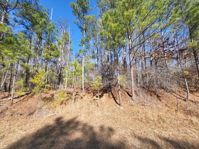 Lot 81 Old Ferry Rd
