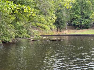 Lot 3 A Humber Ferry Rd