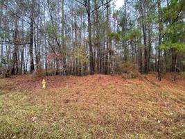103 Island Creek Drive