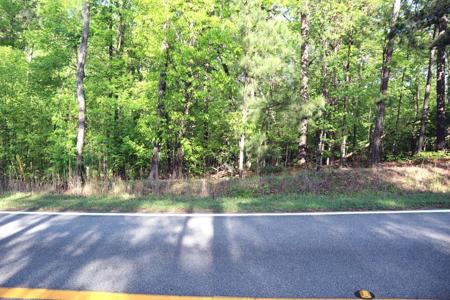 LT.46 LAKE SINCLAIR DR.