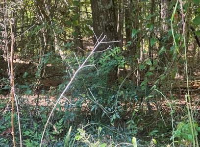 lot A-99 Possum Point Dr