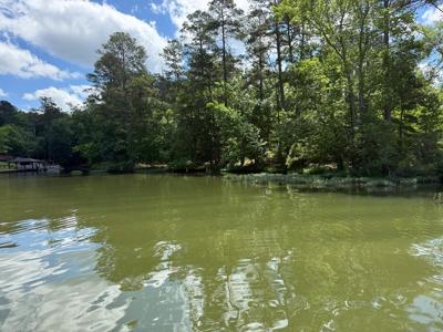 Cedar Ridge Drive