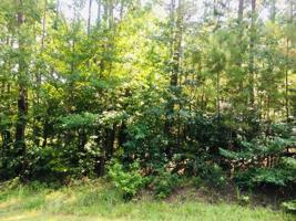 Lot 426 Little River Trail
