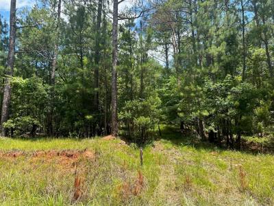 Lot 12 Horseshoe