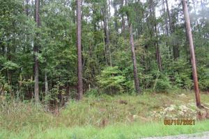 LT 432 River Ridge Trail