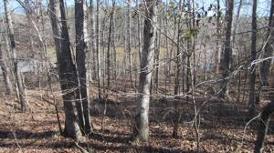 Lot 9 Twilight Shores