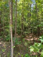 Lot 161 Jamesway Dr.