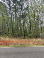 Lot  420 Little River Trail