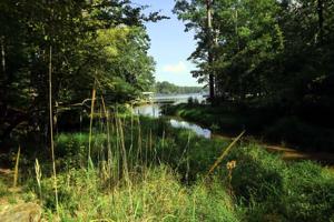 LT.599 Island Creek Dr.