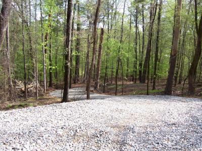 l Brer Rabbit Trail