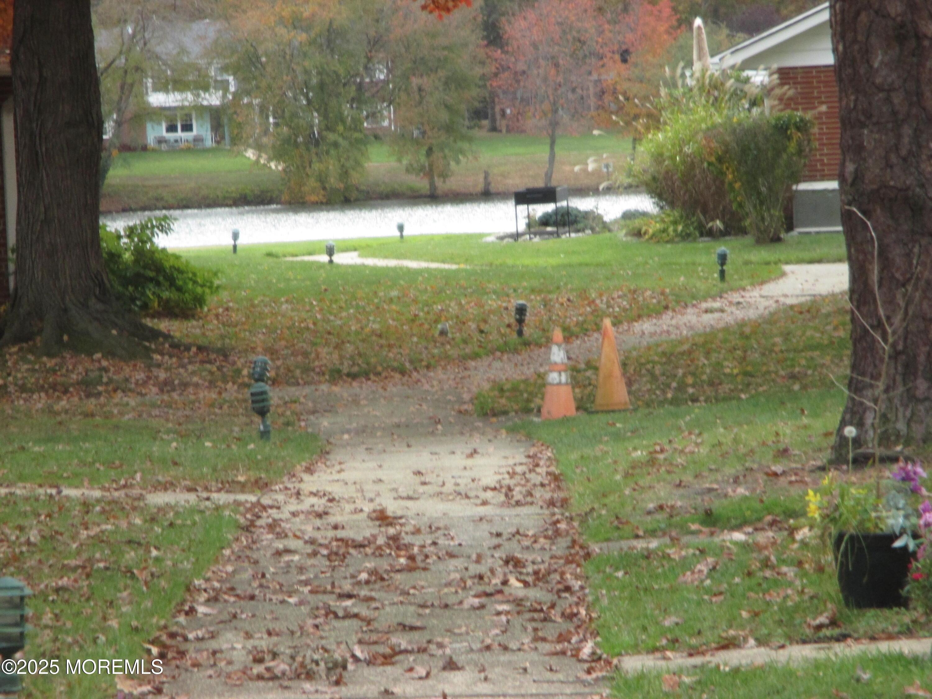 Image 3: Lake View From Yard