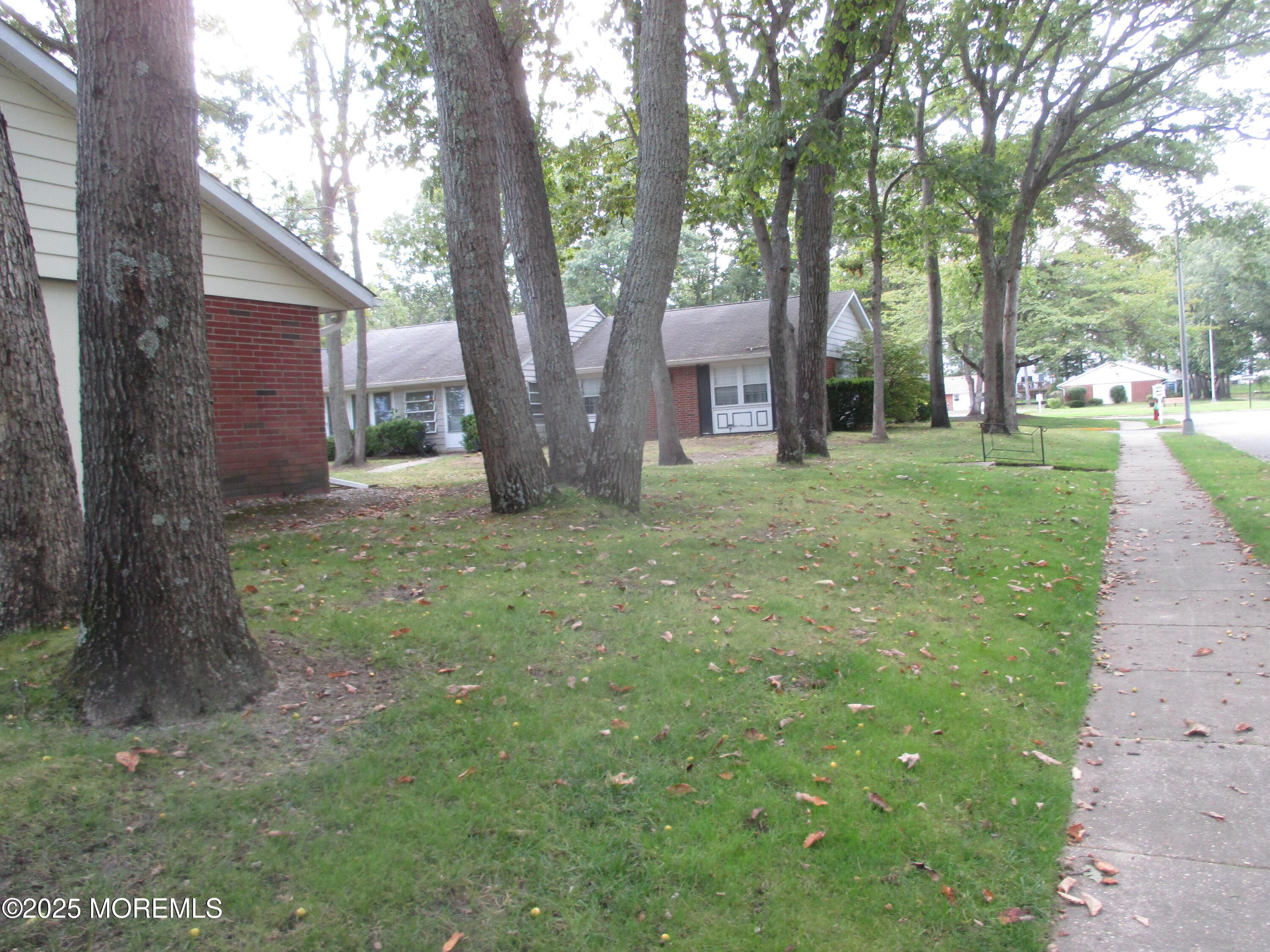Image 3: Side Yard