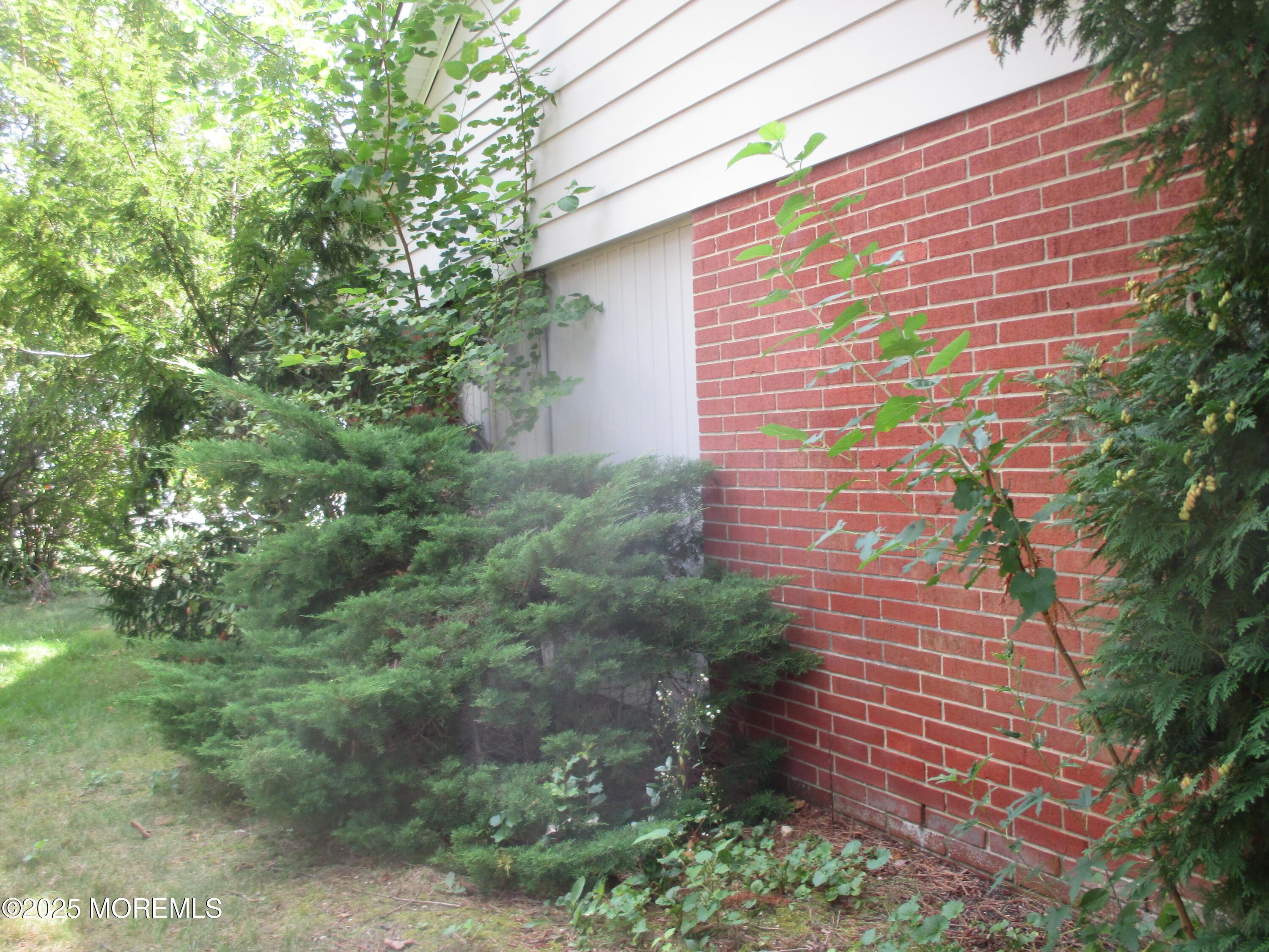 Image 4: Side Yard
