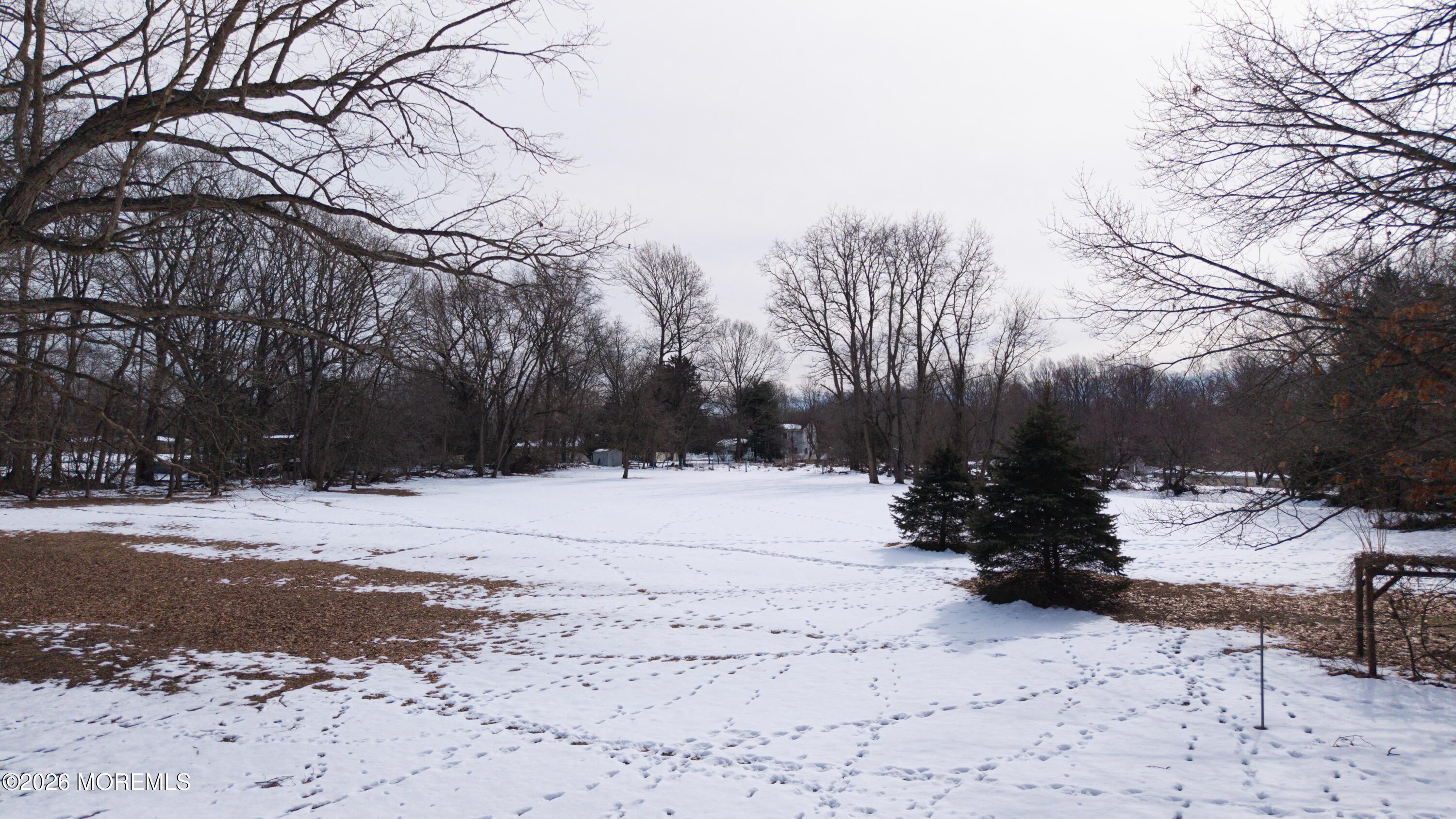 Image 4: DJI_20260302121105_0273_D