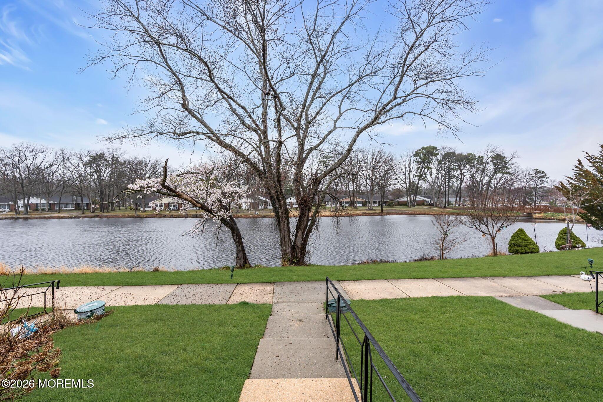 Image 4: 29-web-or-mls-DSC07239-1