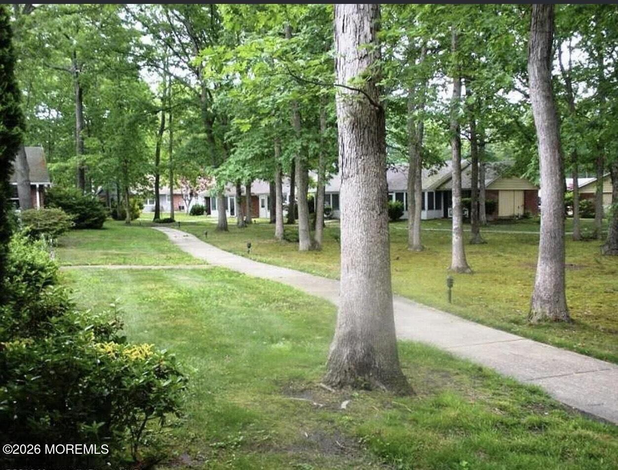 Image 2: View From Front