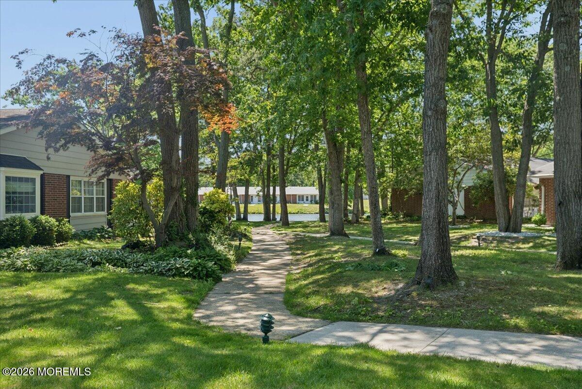 Image 4: 05-Image-5