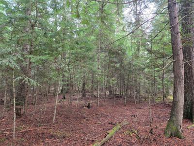 LOT A-1 Elk Heights Lane