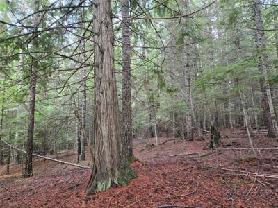 LOT A-4 Elk Heights Lane