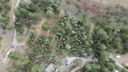 Old US Hwy 93 Lot 1B
