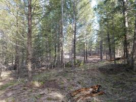 Lot 13 Abayance Loop