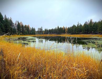 465 & NHN W Dodge Creek Road