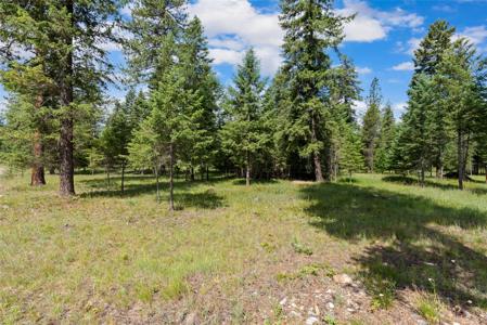 Lot 4 Steep River Ranch Road