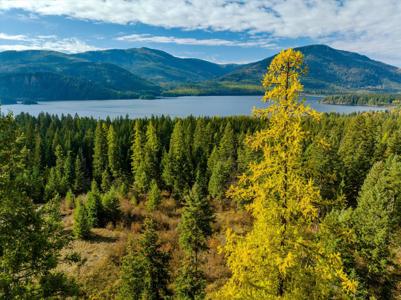 Tract 3 & 6 McKay Minor Road