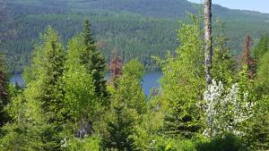 Nhn Tranquil Way