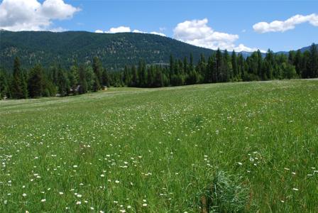 Nhn Timber Meadows Lane