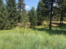 Lot 4 Mossy Rock Court