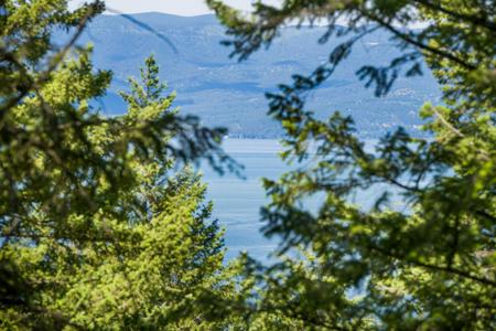 345 Chief Cliff Trail